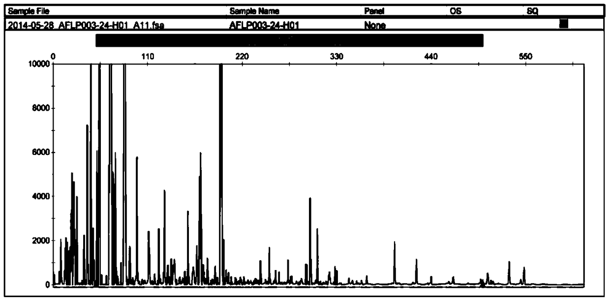 A DNA fingerprint of Hebawang and its acquisition method and special primers