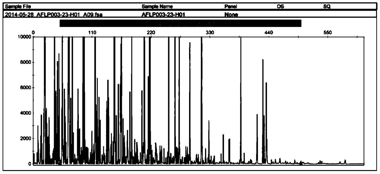 A DNA fingerprint of Hebawang and its acquisition method and special primers