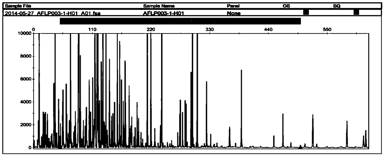 A DNA fingerprint of Hebawang and its acquisition method and special primers