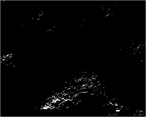 Immobilized composite unhairing enzyme with leather-making secondary waste as carrier and preparation method thereof