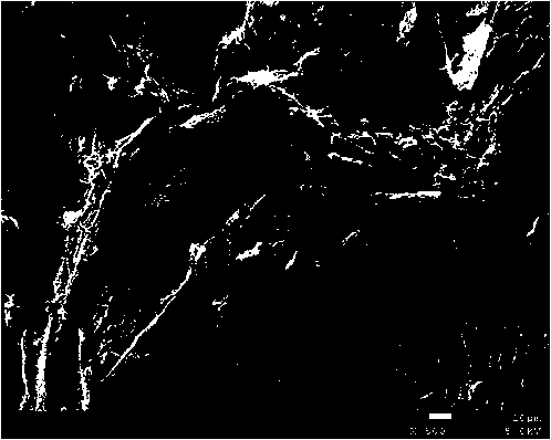 Immobilized composite unhairing enzyme with leather-making secondary waste as carrier and preparation method thereof