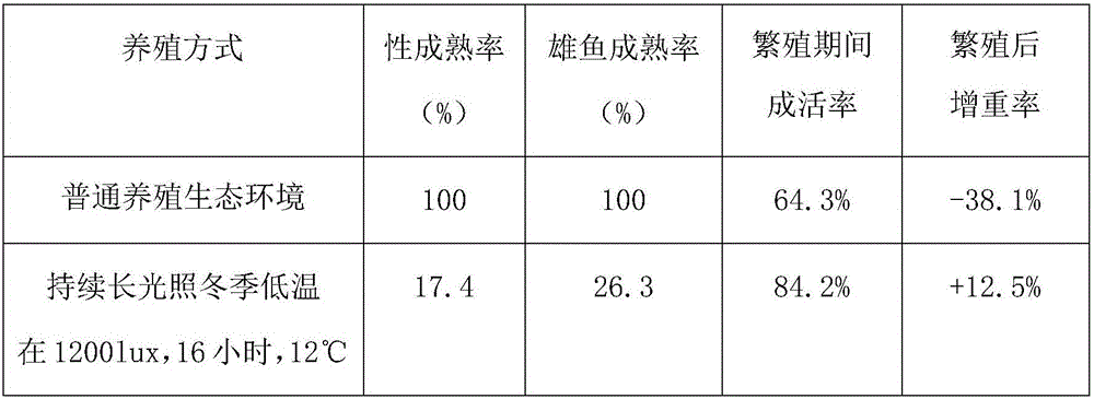 Method for increasing survival rate and growth rate of alosa sapidissima in breeding season