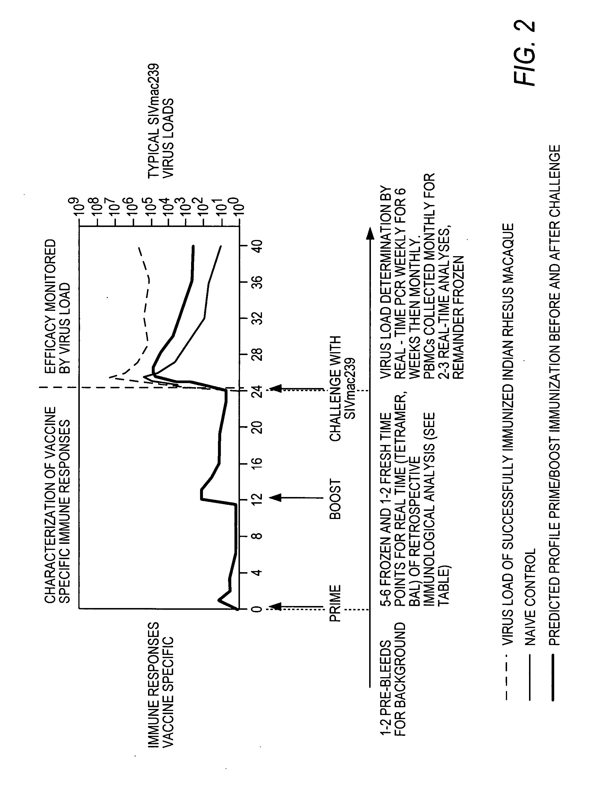 Genetic adjuvants for viral vaccines