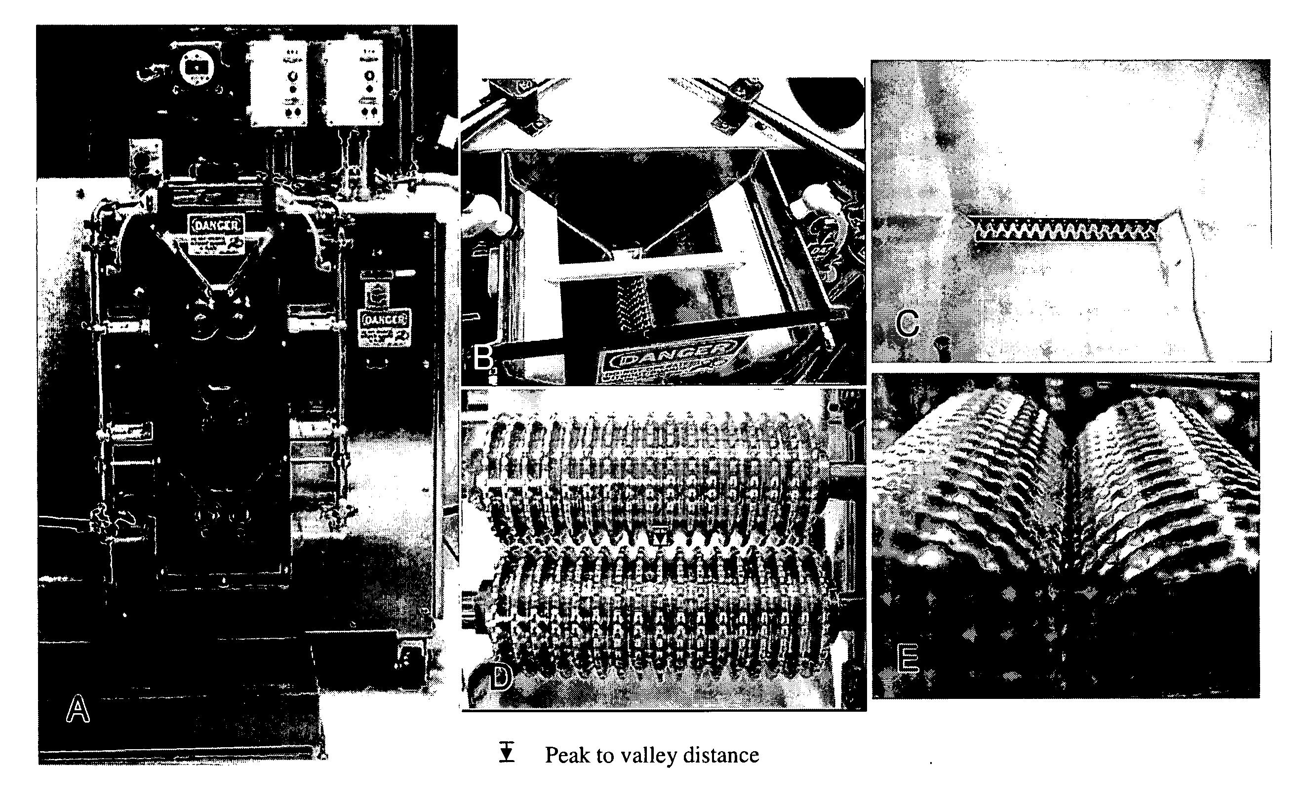 Method of meristem excision and transformation