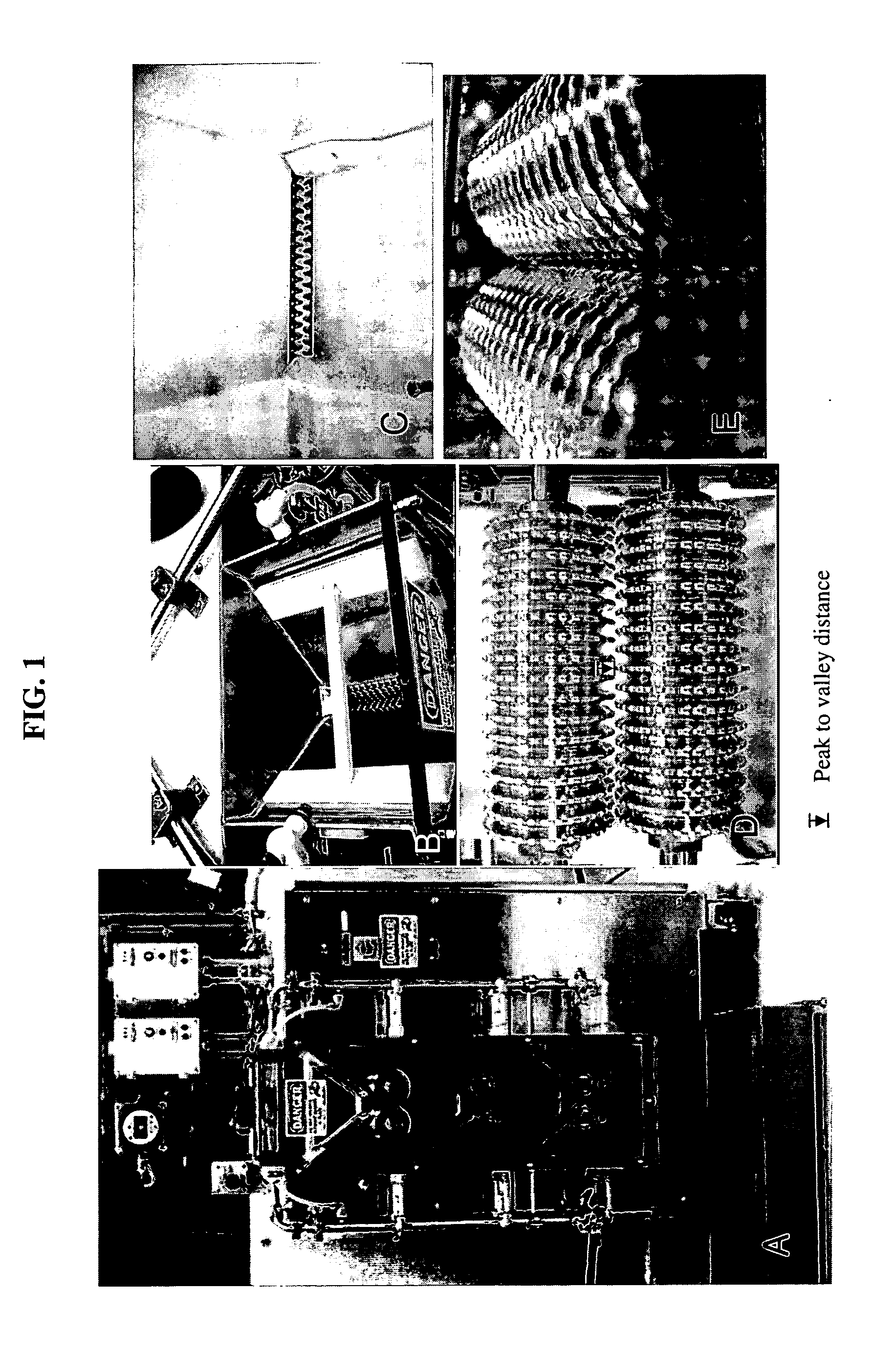 Method of meristem excision and transformation