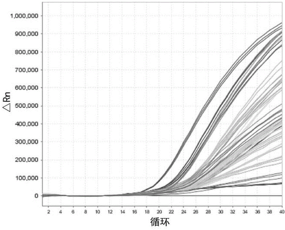 MiRNA marker associated with post-esophageal-cancer-operation early recurrence and prognosis and applications thereof