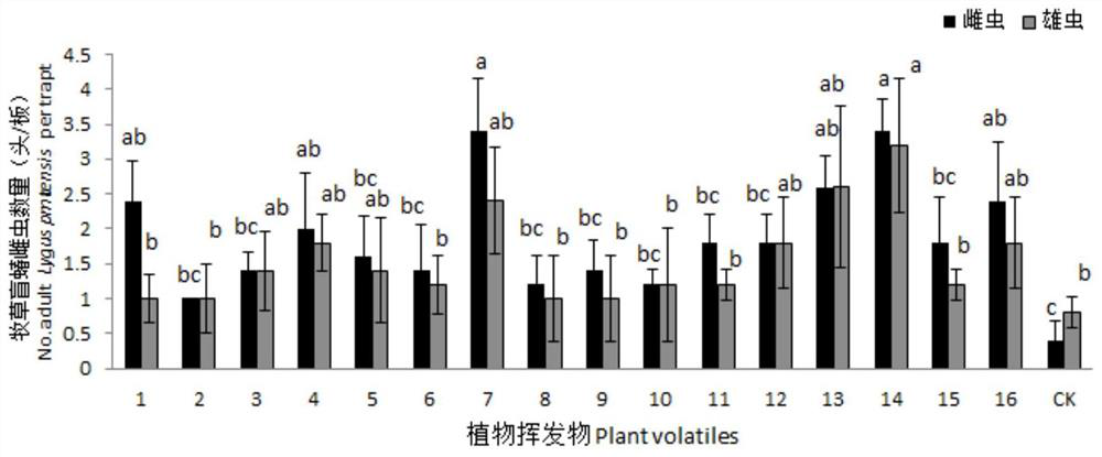 A kind of ligus attractant and its preparation method and application