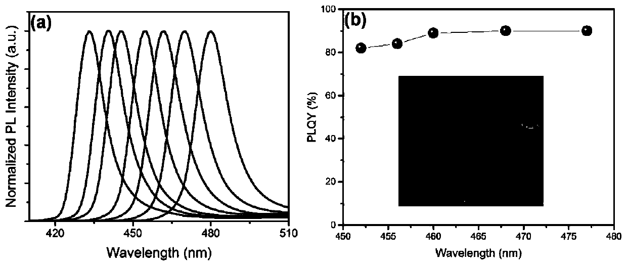 Blue light perovskite with high quantum yield and preparation method and applications thereof