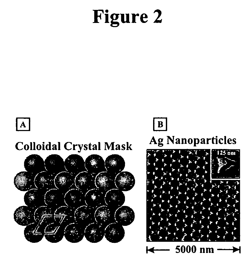 Surface-enhanced raman nanobiosensor