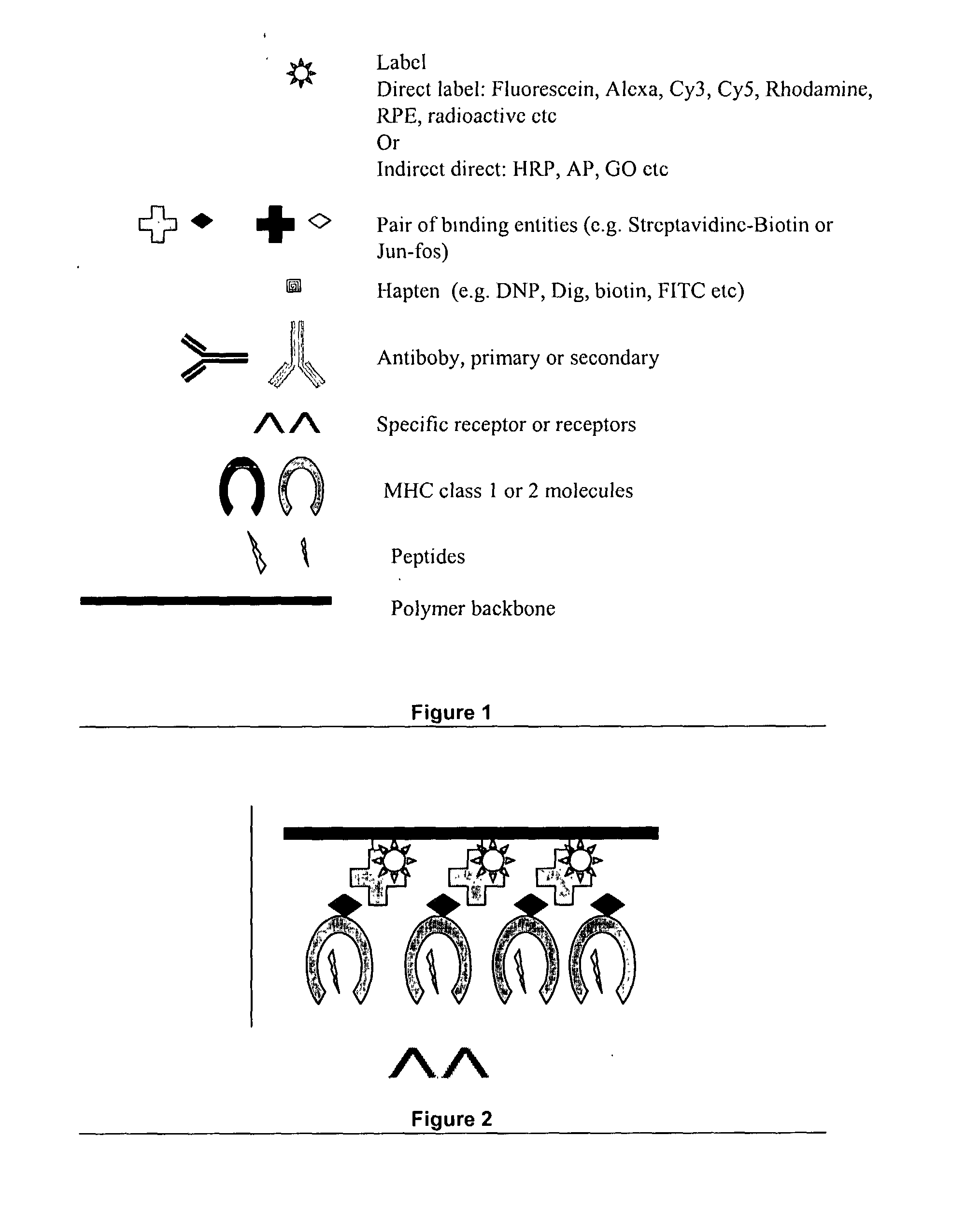 Novel MHC molecule constructs, and methods of employing these constructs for diagnosis and therapy, and uses of MHC molecules