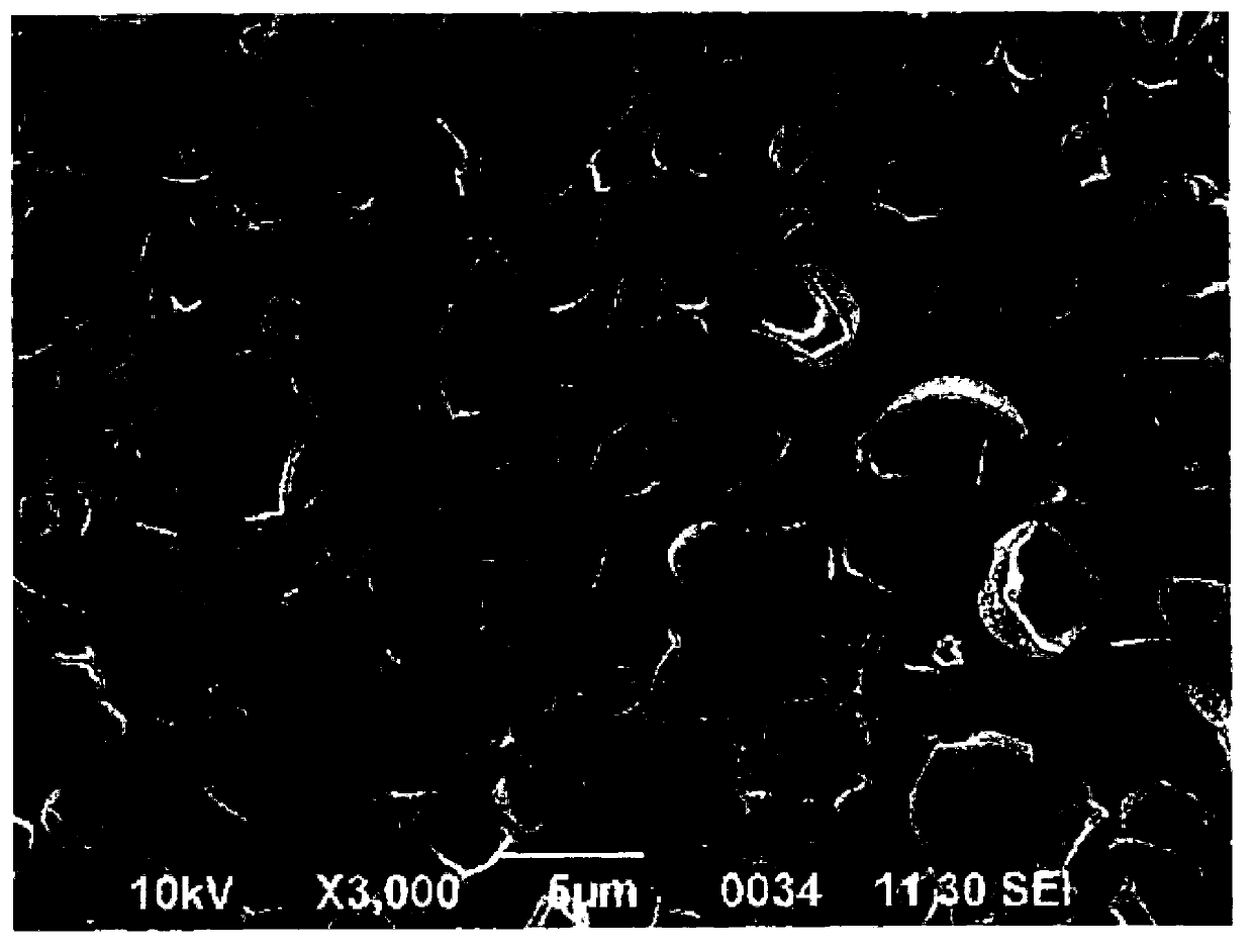 Hollow polymer particle and manufacturing method thereof