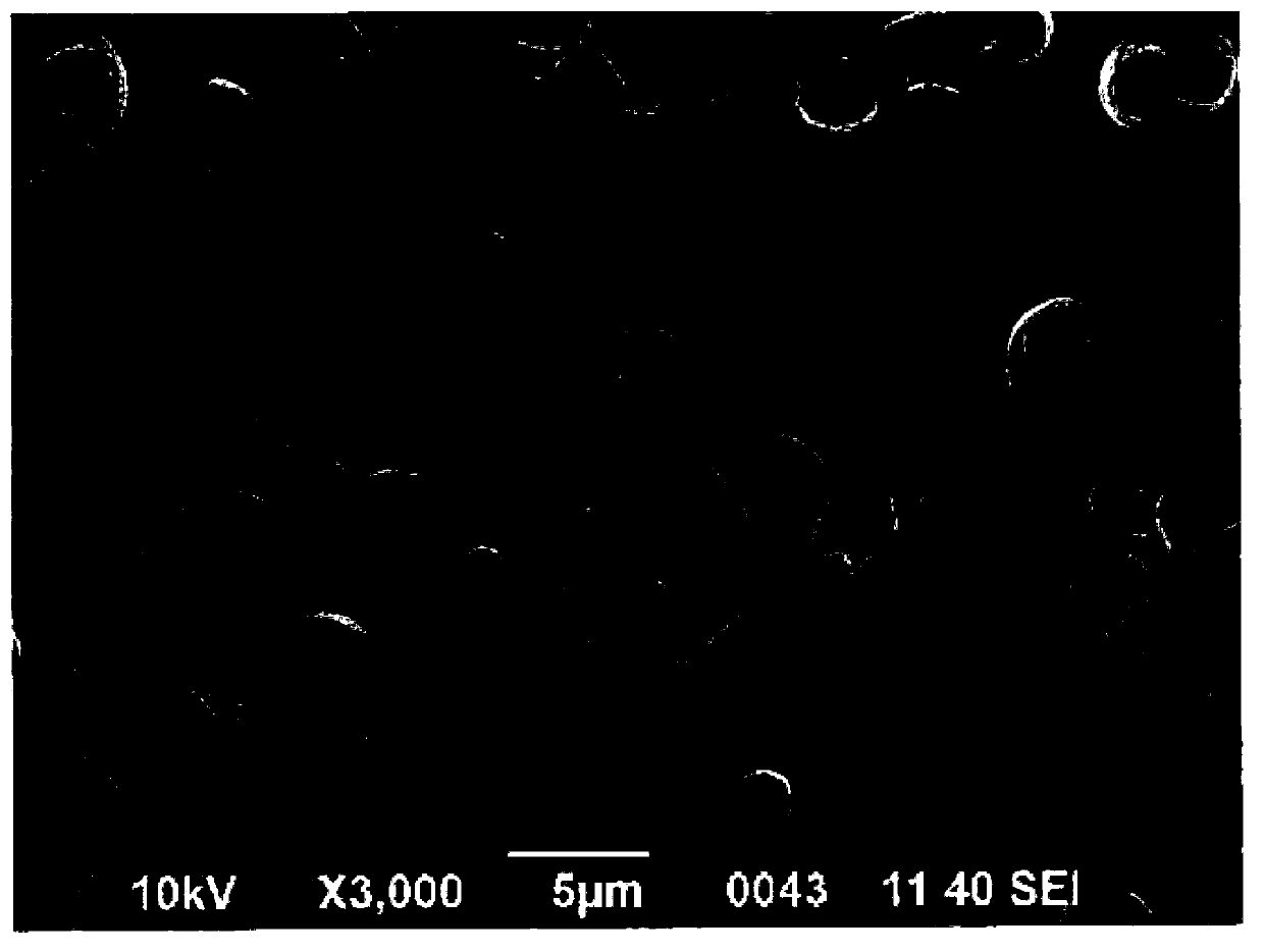 Hollow polymer particle and manufacturing method thereof