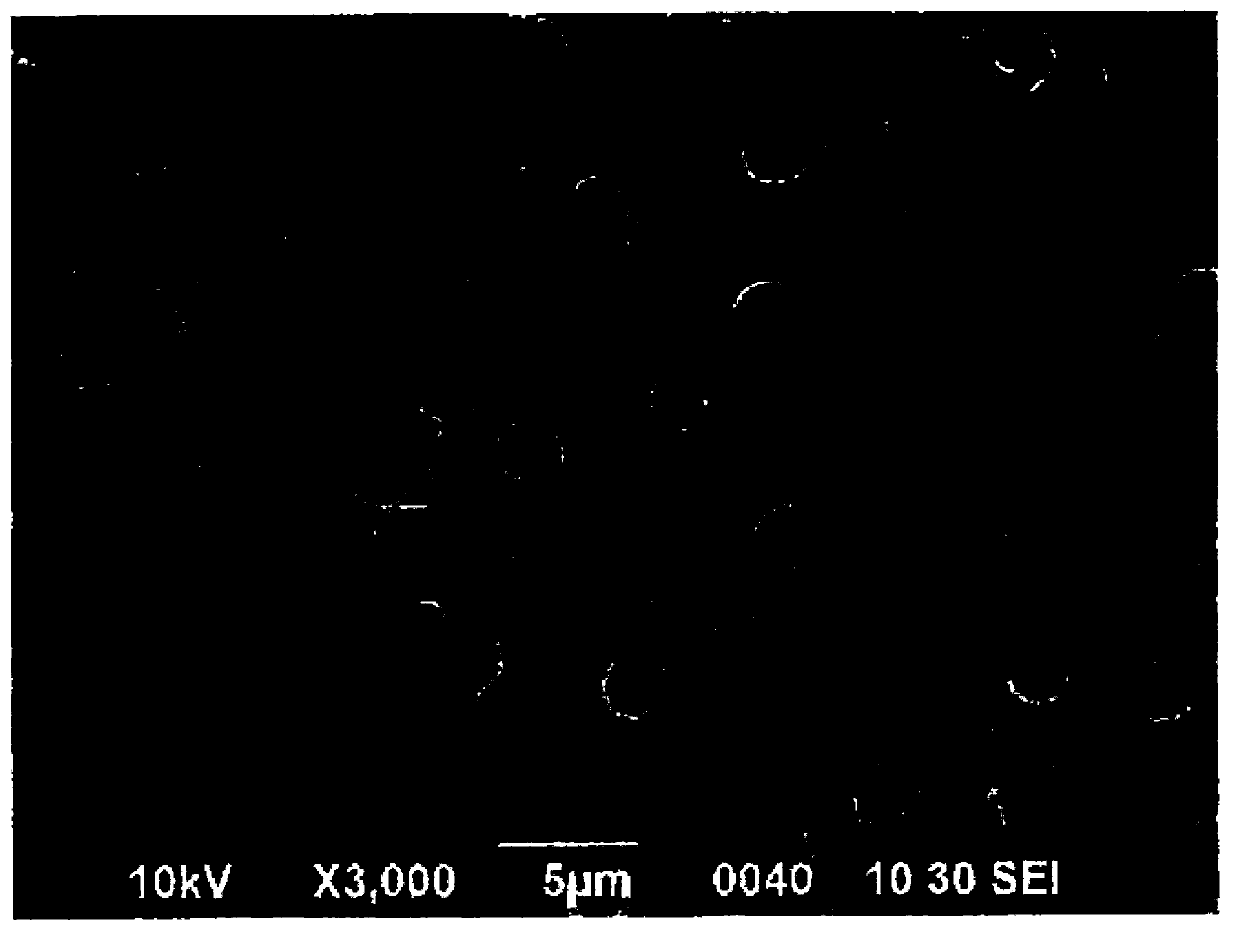 Hollow polymer particle and manufacturing method thereof