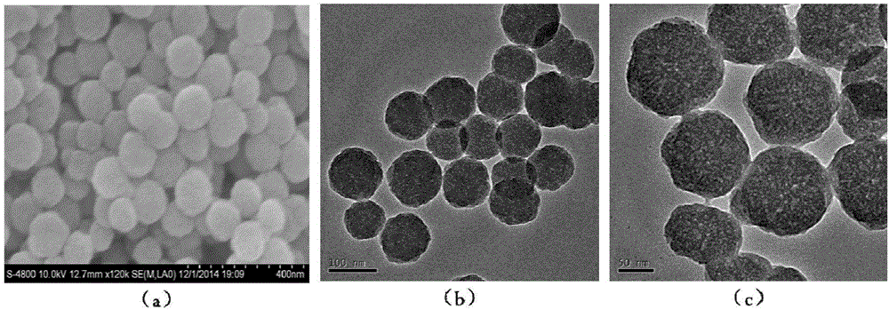 Mesoporous silica nanoparticle having two-photon absorption function and preparation method and application thereof