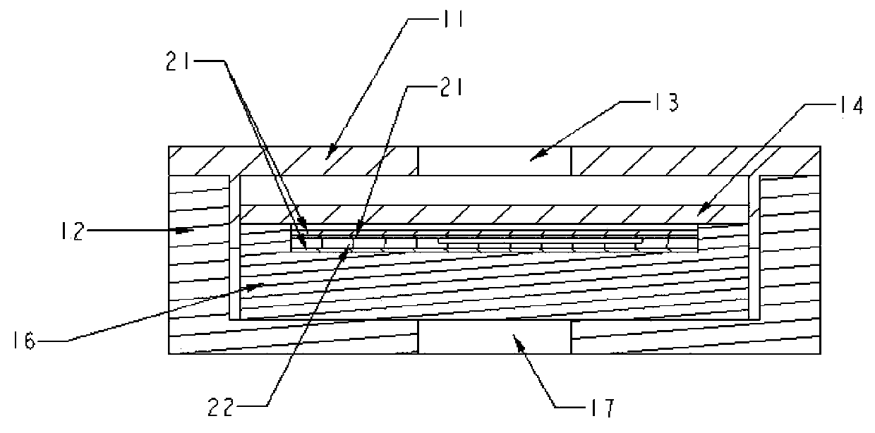 In-situ real time observation device with X-ray fluoroscopy