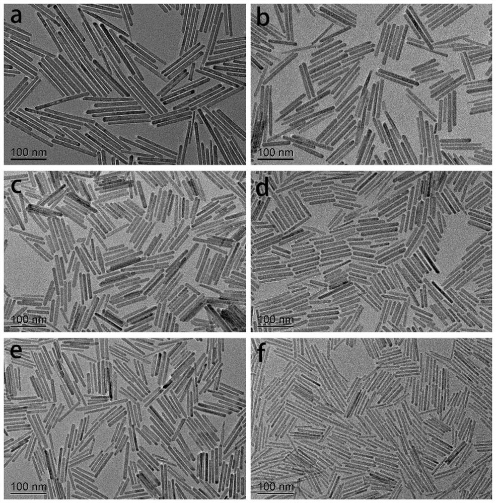 A kind of hydroxyapatite nanorod with surface grafted egcg and its preparation method and application