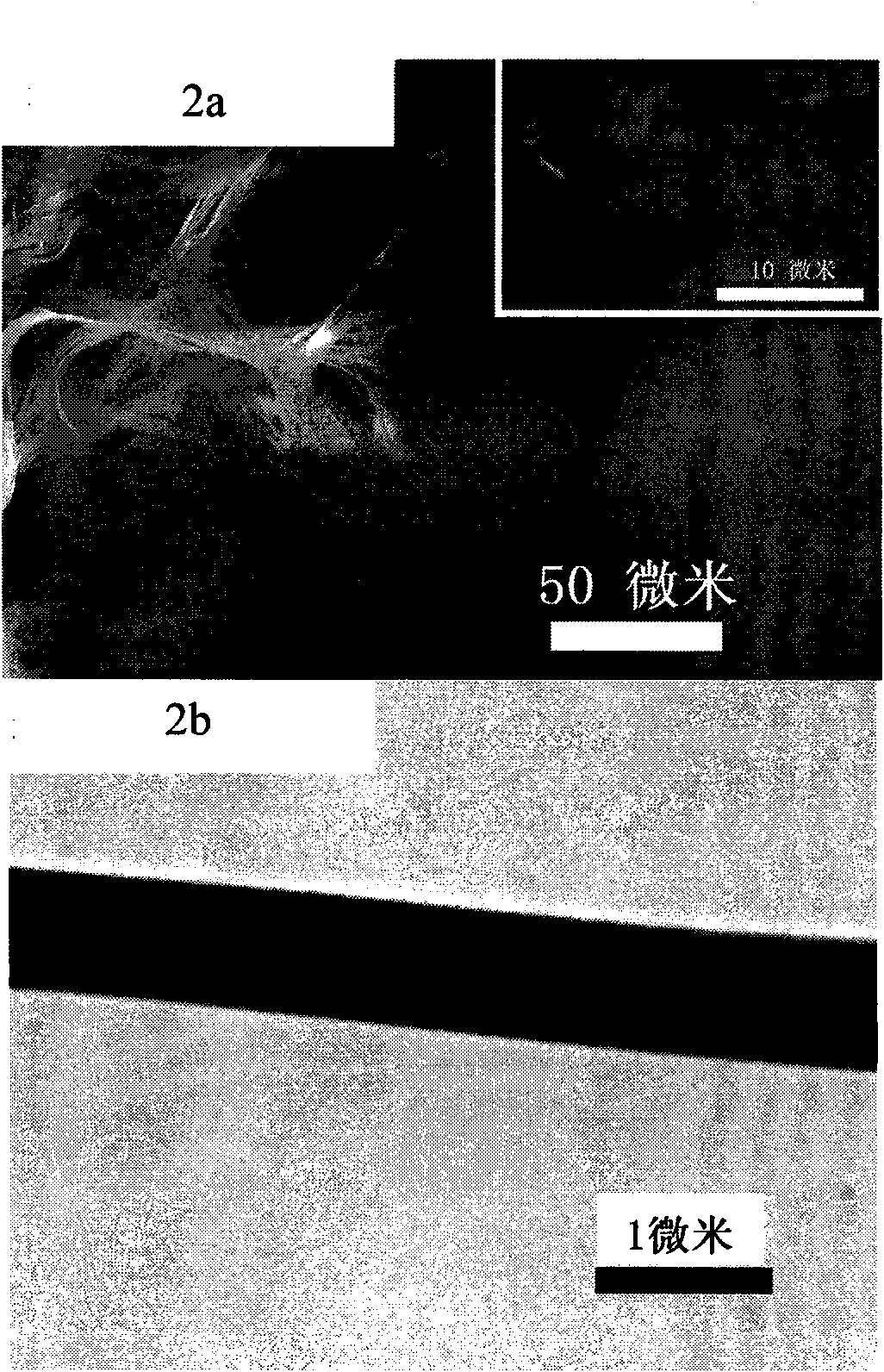 Light-sensing organic field-effect transistor and preparation method thereof