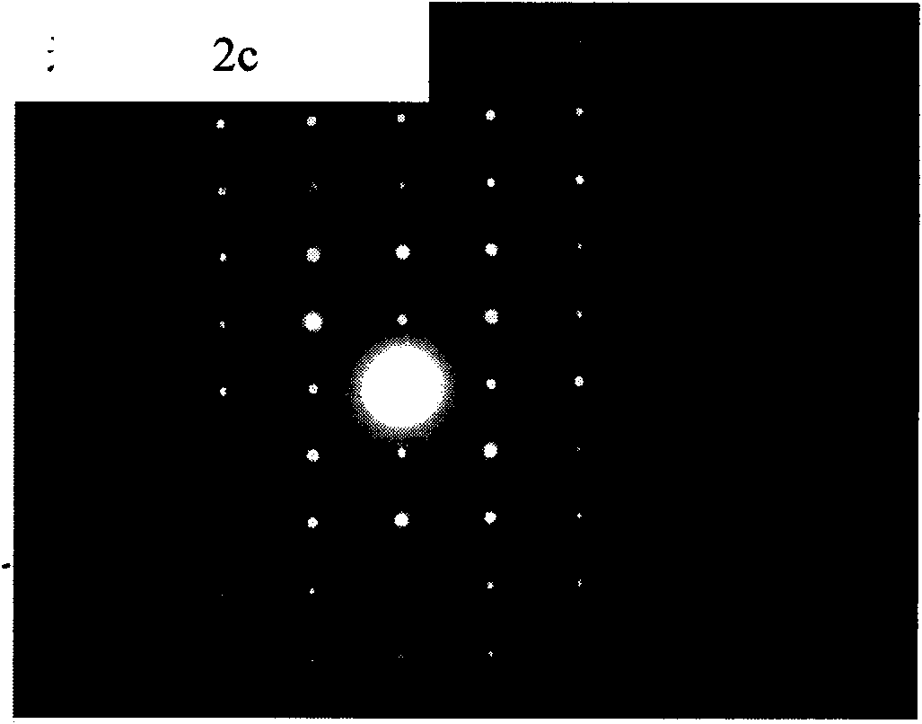 Light-sensing organic field-effect transistor and preparation method thereof