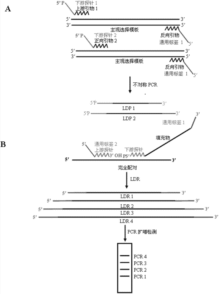 A method for simultaneous detection of multiple trace targets based on long probes