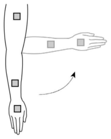 Limb length measuring method and device