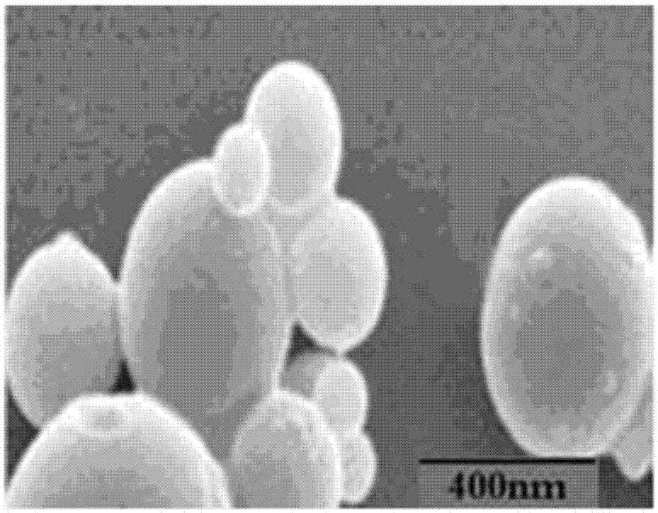 A kind of chitosan carries siRNA coating vascular stent and preparation method thereof