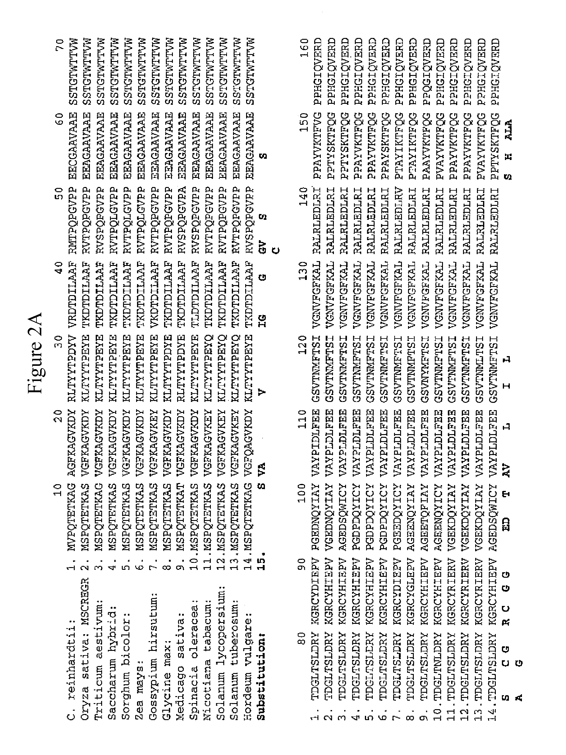 Methods of identifying and creating rubisco large subunit variants with improved rubisco activity, compositions and methods of use thereof