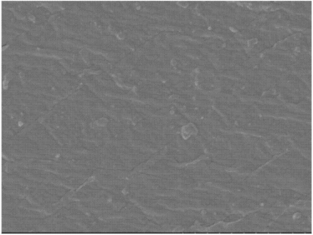 Facilitated transport membrane based on amino acid ionic liquid and preparation method and application of facilitated transport membrane