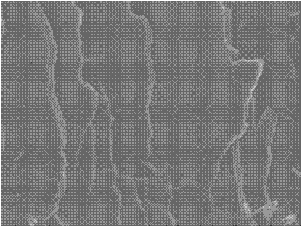 Facilitated transport membrane based on amino acid ionic liquid and preparation method and application of facilitated transport membrane