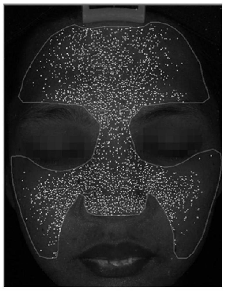 A composition for reducing skin rhodopsin and its preparation method and application