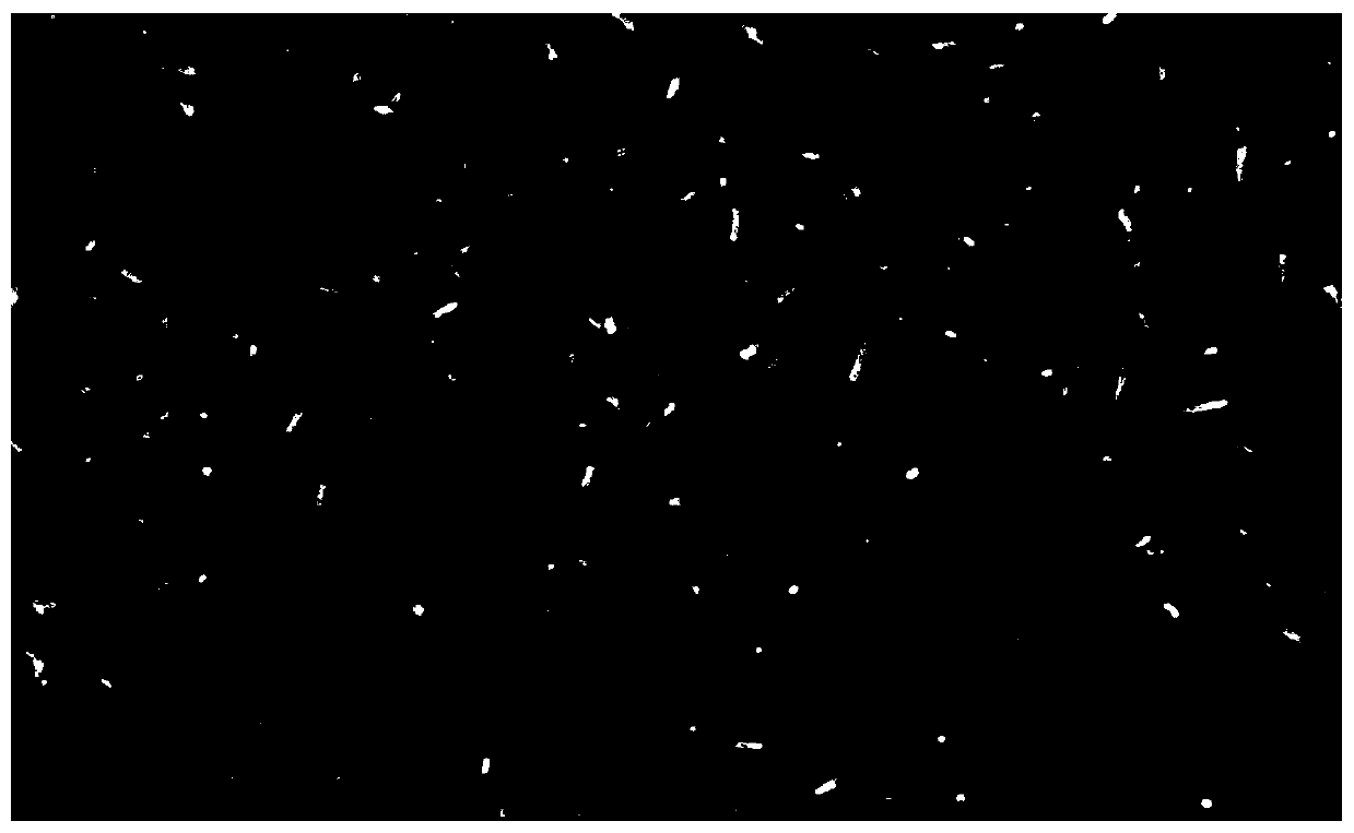 Method for preparing carbon nanofiber by taking halloysite as catalyst