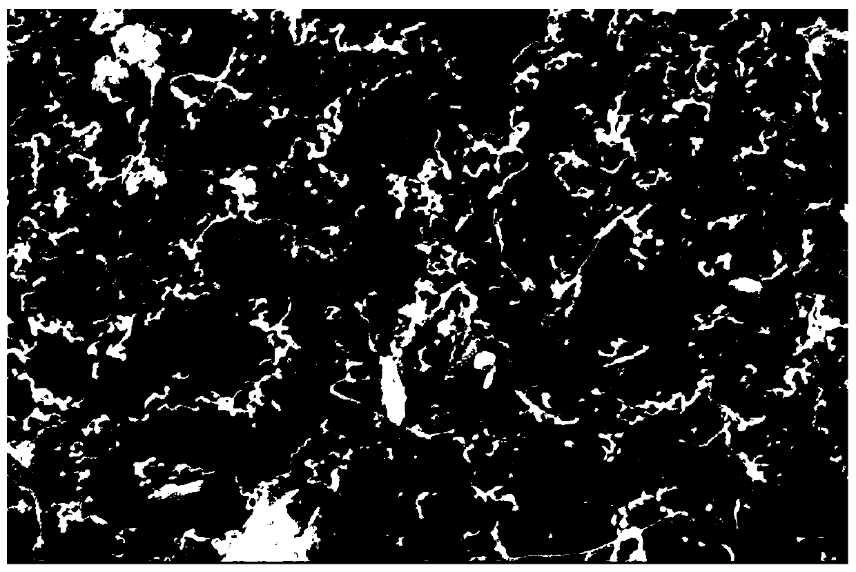 Method for preparing carbon nanofiber by taking halloysite as catalyst