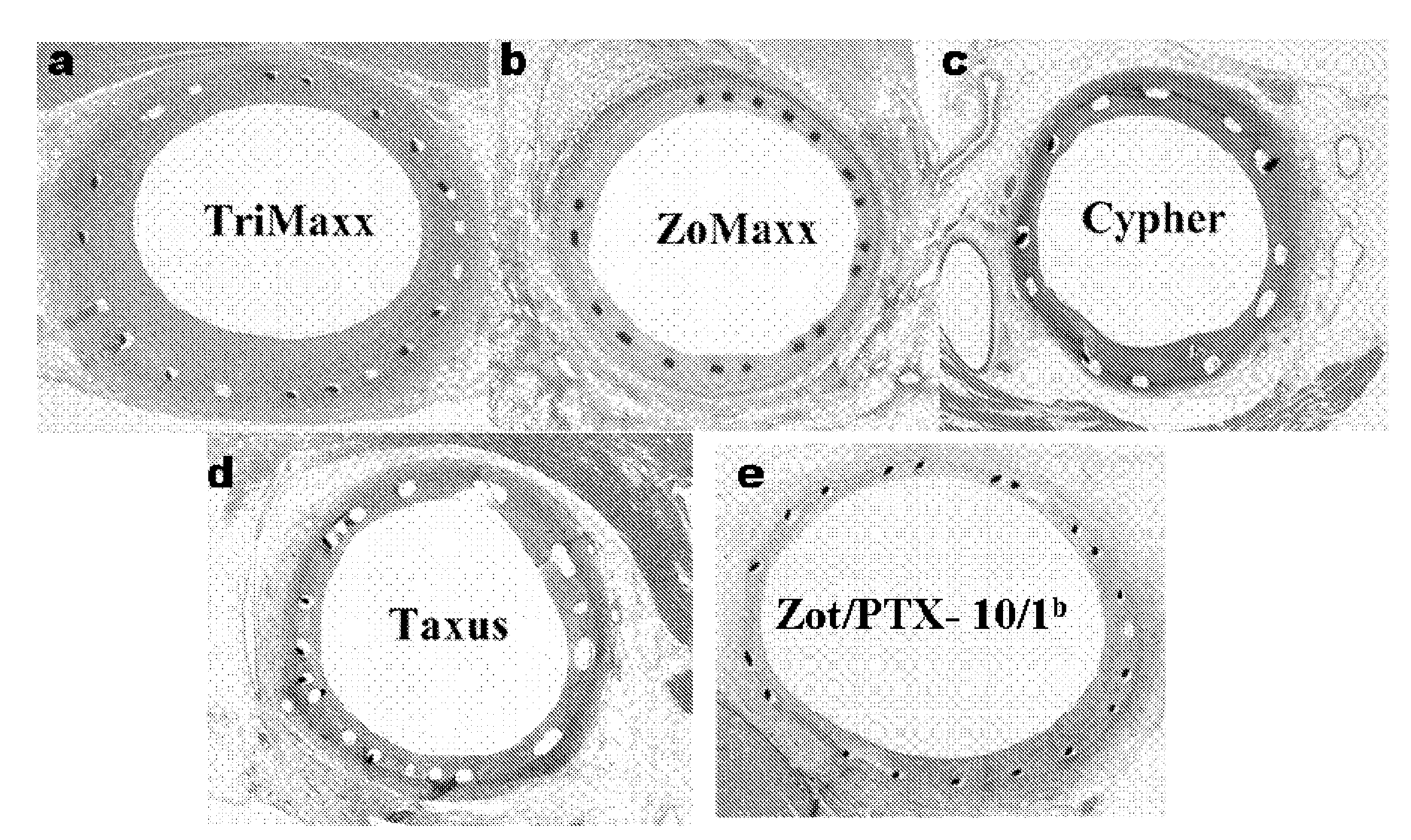 Drug delivery systems, kits, and methods for administering zotarolimus and paclitaxel to blood vessel lumens