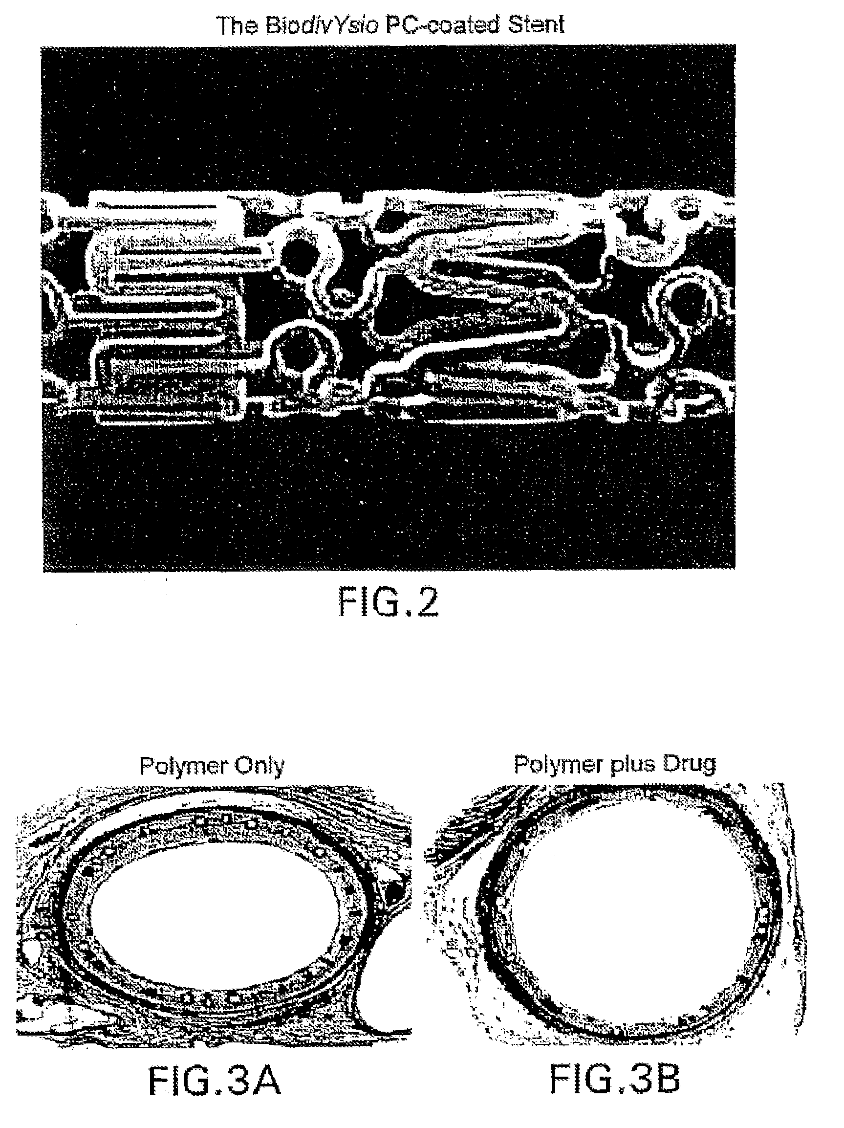 Drug delivery systems, kits, and methods for administering zotarolimus and paclitaxel to blood vessel lumens