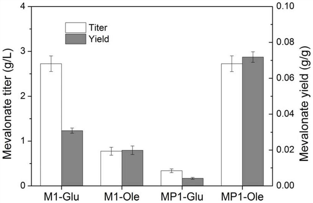 A method for positioning and synthesizing terpenoids using Yarrowia lipolytica pathway