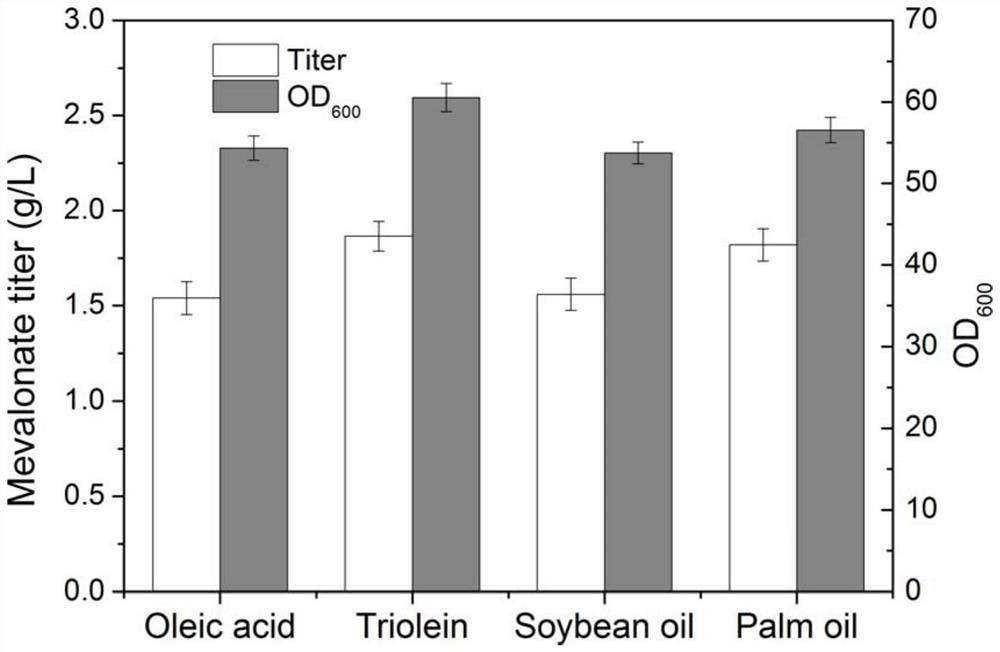 A method for positioning and synthesizing terpenoids using Yarrowia lipolytica pathway