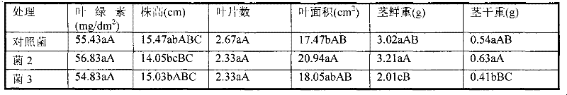 Microbial fertilizer producing by using agricultural wastes and preparation thereof