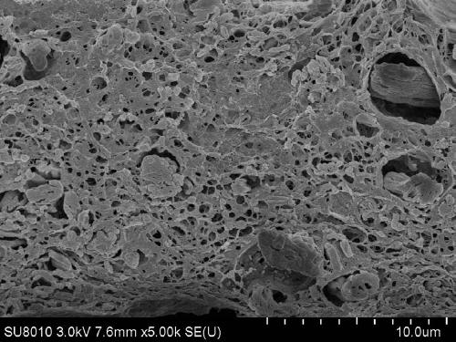 Mesoporous silicon dioxide and cellulose blended membrane protected by buffer solution, preparation method and application thereof