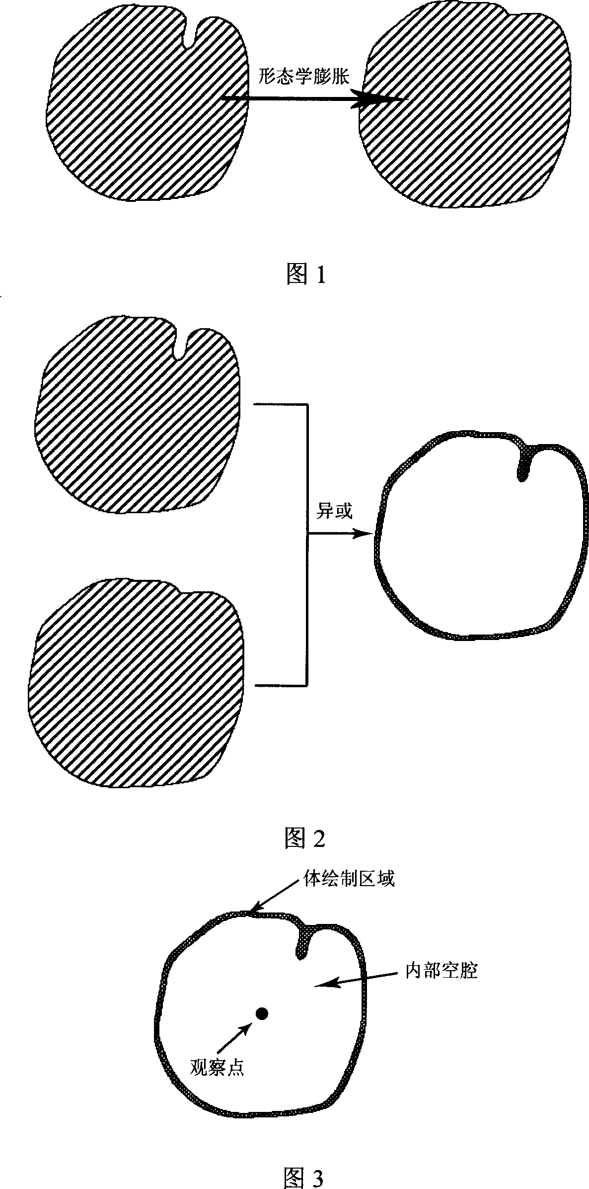 Fast volume rendering method of inwall of cavum-type viscera