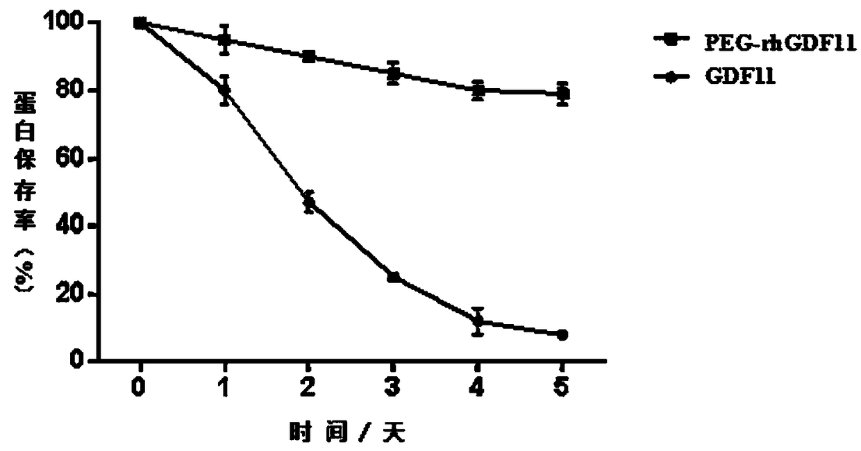 Modified growth differentiation factor and preparation and application methods thereof