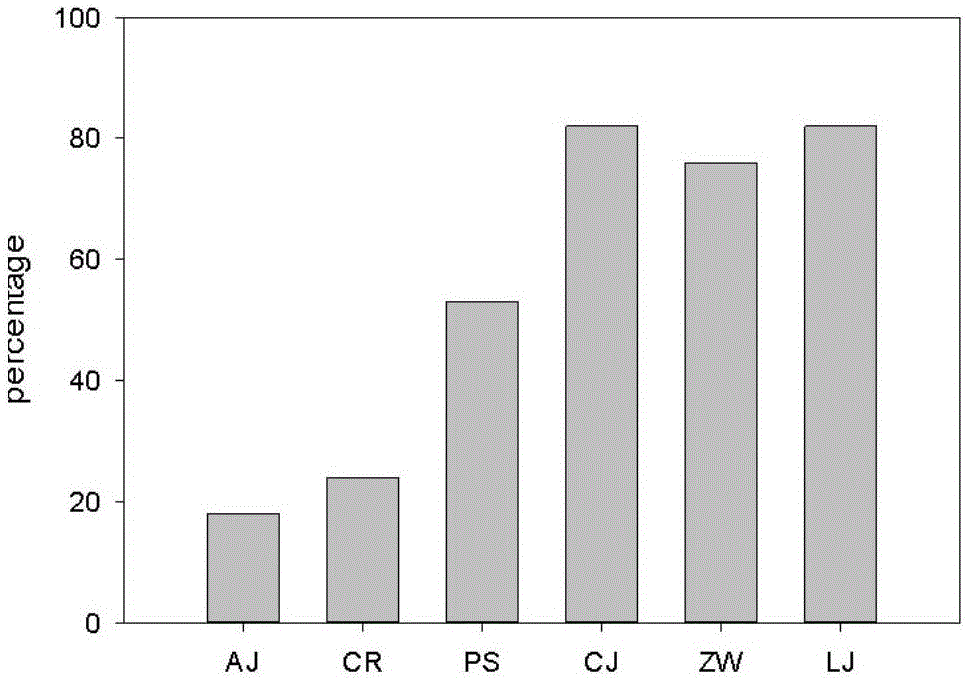 Comprehensive evaluation method of health condition of ancient architecture channel drainage system