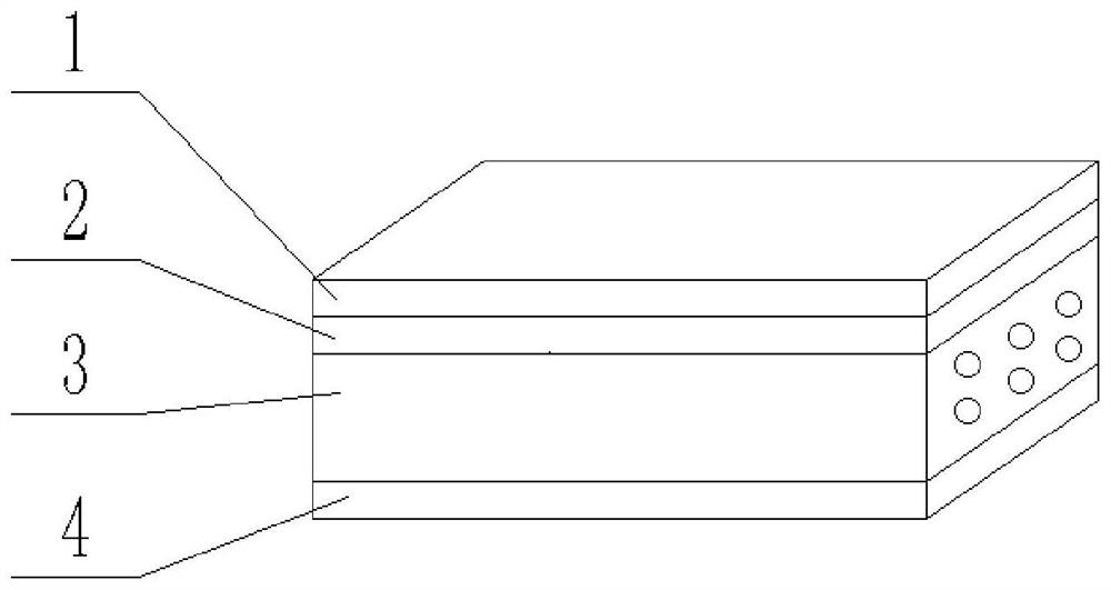 Multifunctional visual graphene wound multi-purpose therapeutic apparatus