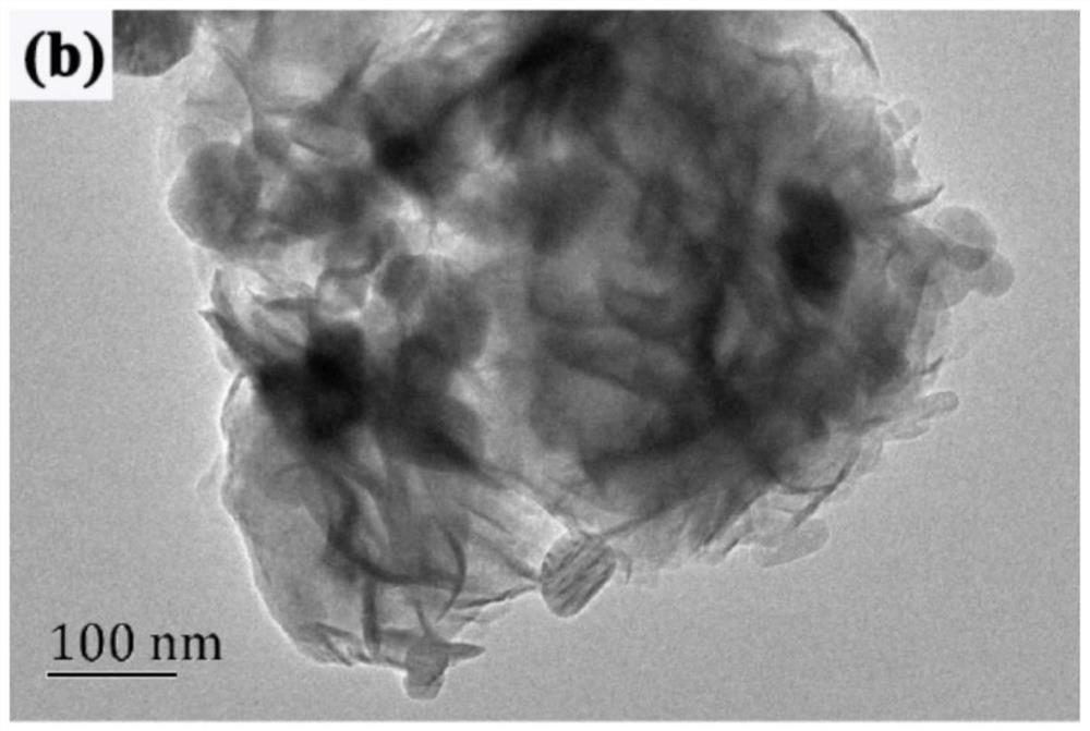 Photocatalyst for efficiently photocatalytically decomposing water to produce hydrogen and preparation method thereof