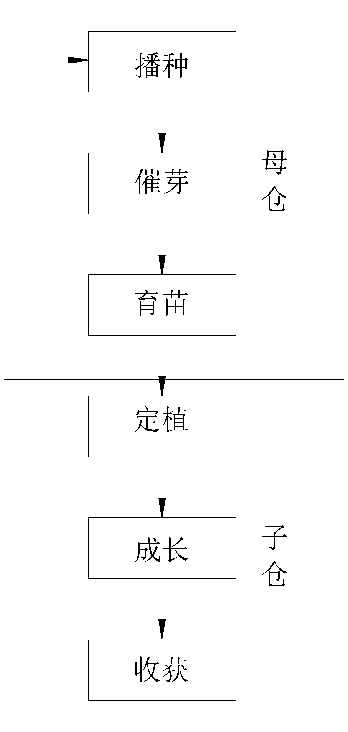 Container structure system for vegetable cultivation and cultivation method