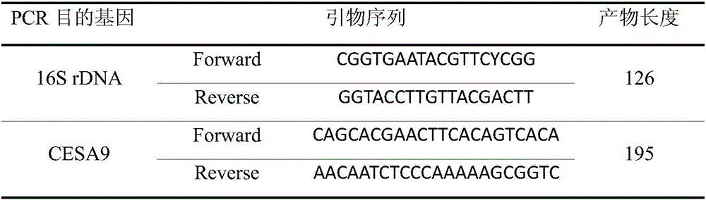 Method for high-efficiency extraction of extracellular DNA in sediments