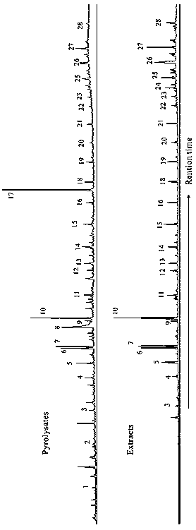 Rapid analysis method for light hydrocarbon component in soluble organic matter of hydrocarbon source rock