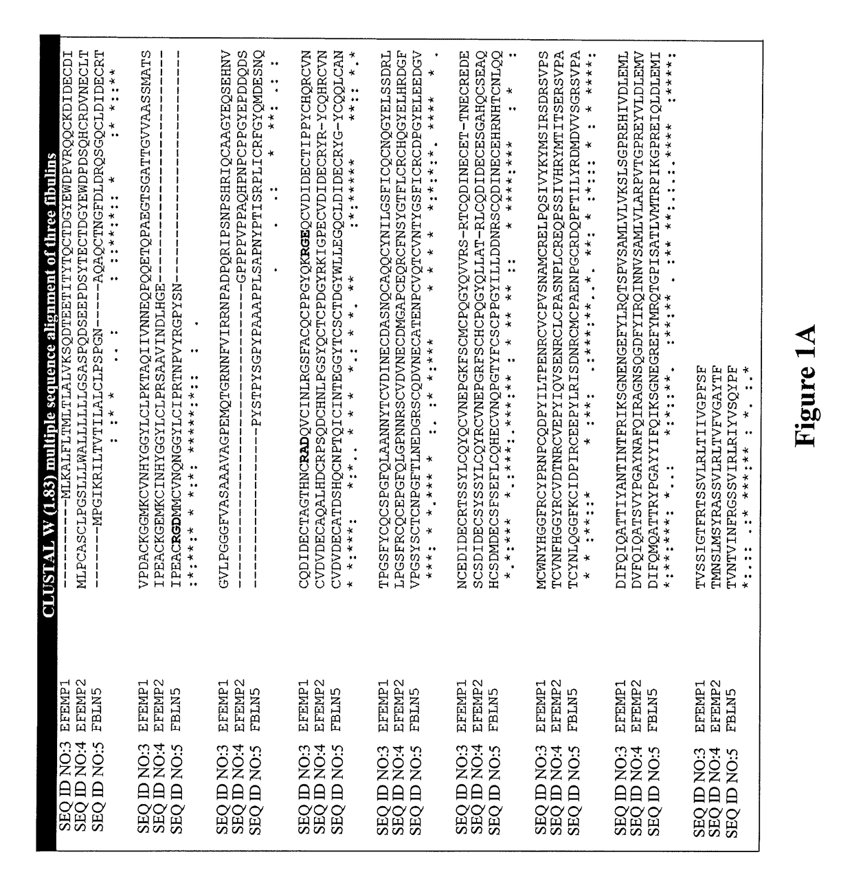 Fibulin protein variants and corresponding nucleic acid sequences