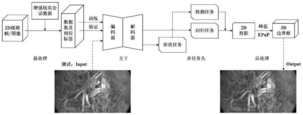 A mobile real-time detection method for 3D crabs oriented to 2D images