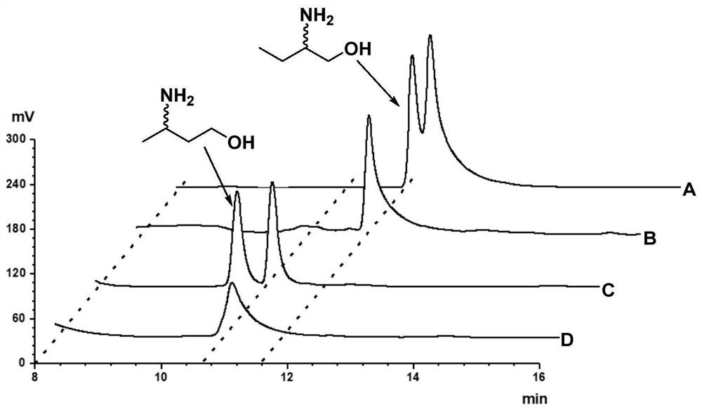 Amine dehydrogenase mutant and application thereof in synthesis of chiral amine alcohol compound