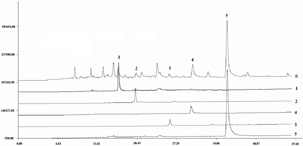 Preparation method of antioxidant effective components of radix rubiae and application