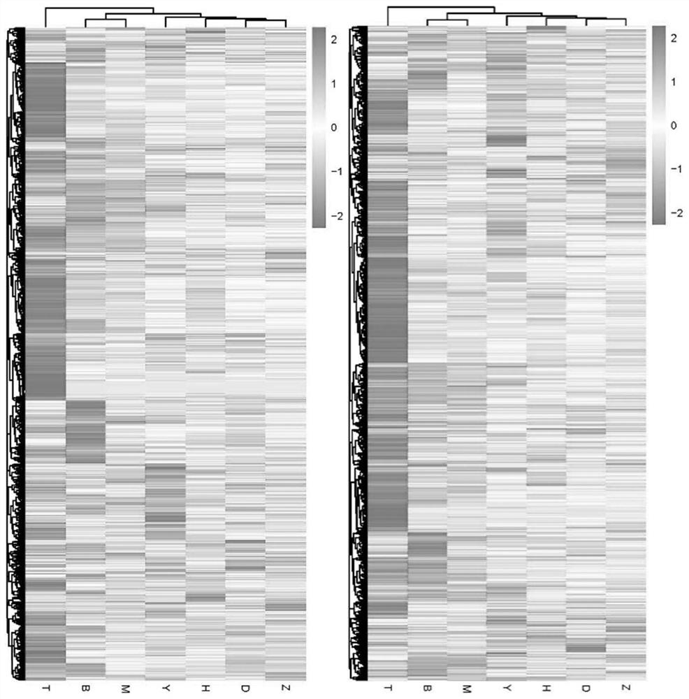 Application of metabonomics analysis technology to identification of Danxiang Dancong tea